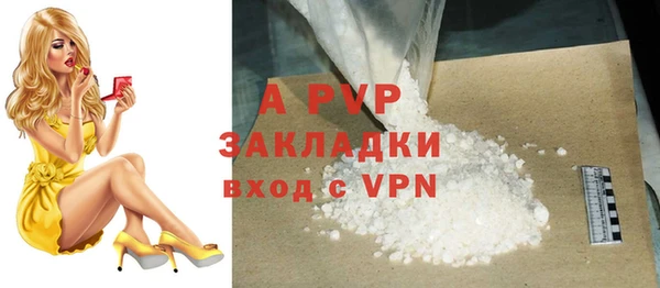 хмурый Мегион