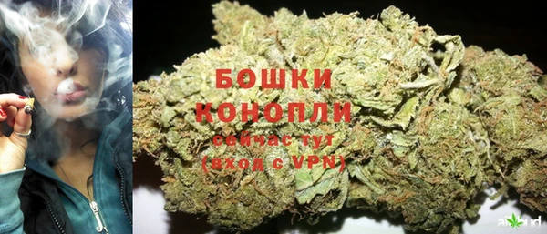 хмурый Мегион