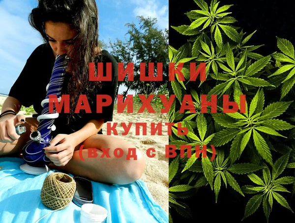 хмурый Мегион