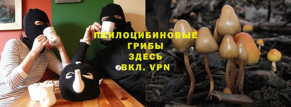 apvp Абаза